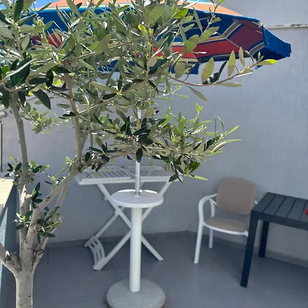 Kris In Plazh Durrës